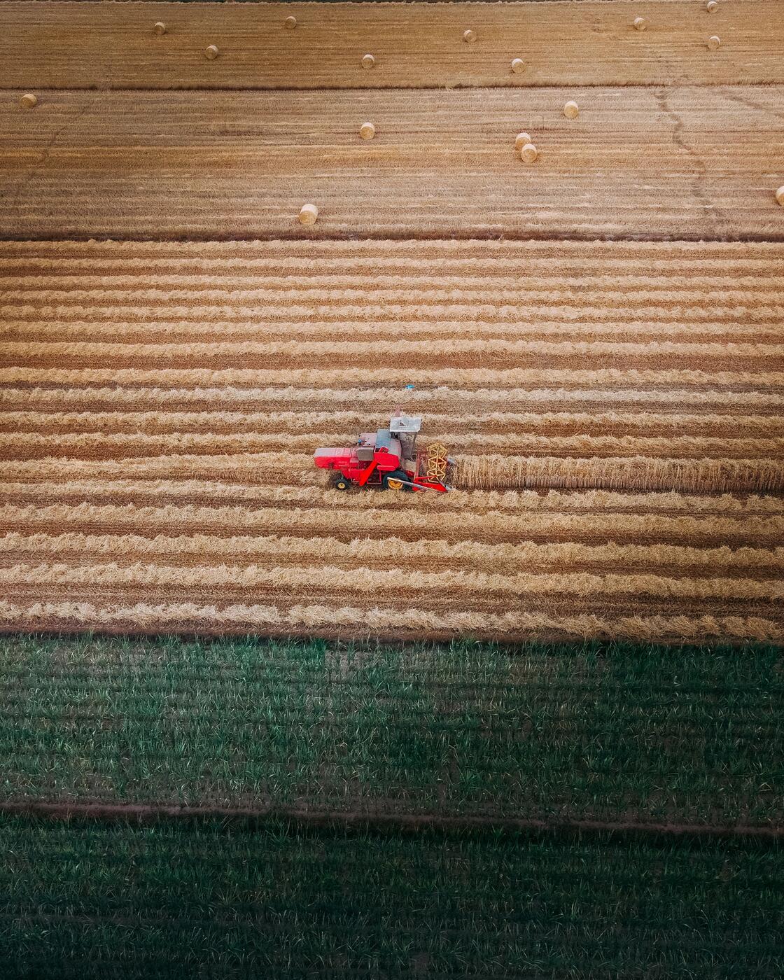 Exemple de prise de vue agricole par drone